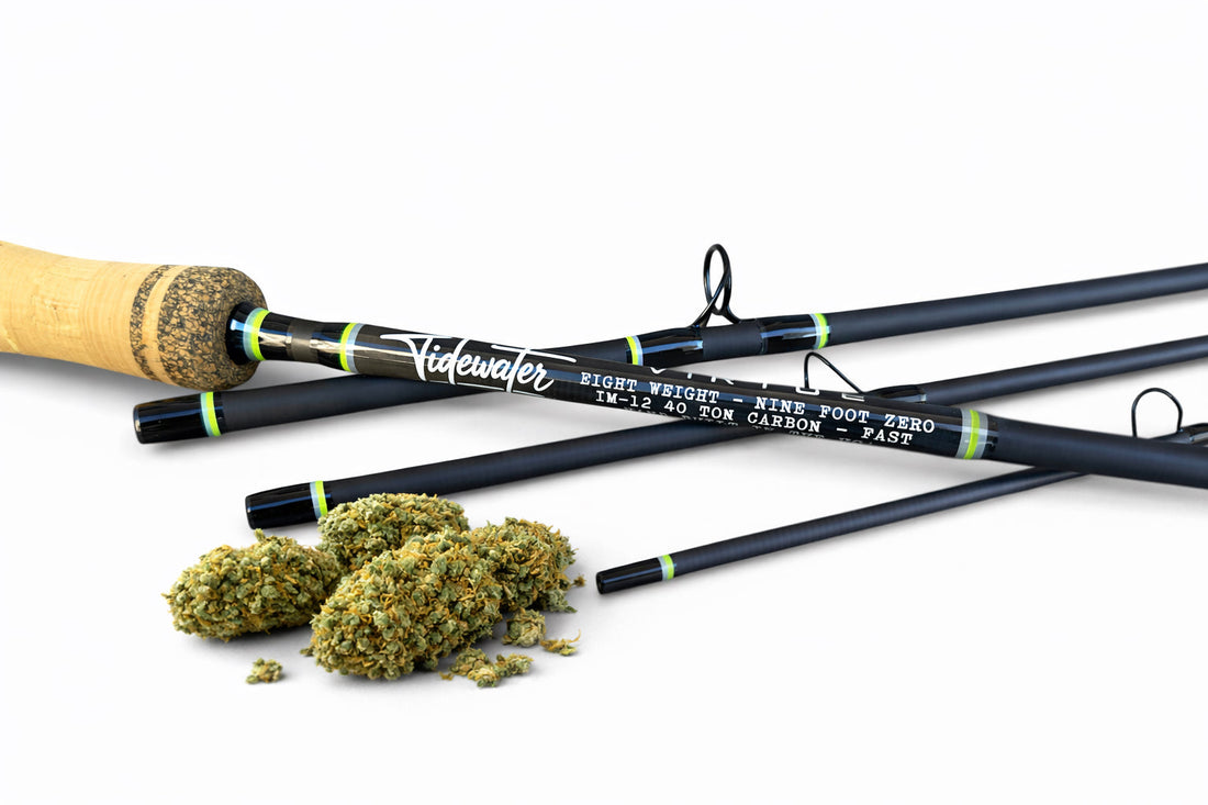 Finding Calm Between Tides : CBD, Mental Health, and Staying Grounded.